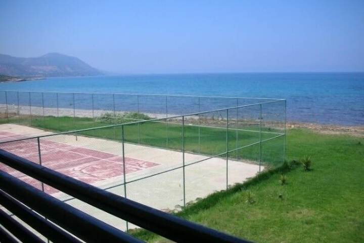 Tennis and Basketball Courts 25 of 50