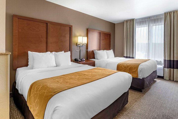 2 Queen Beds Business Room Accessible (10 of 13)