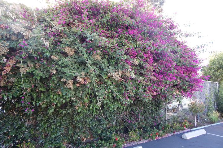 Hotel Exterior 28 of 34