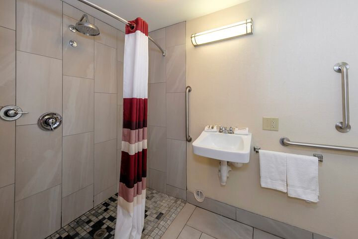 ADA Accessible Deluxe King with Roll in Shower (9 of 19)