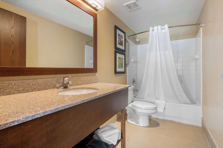 1 King Bed Accessible (19 of 22)