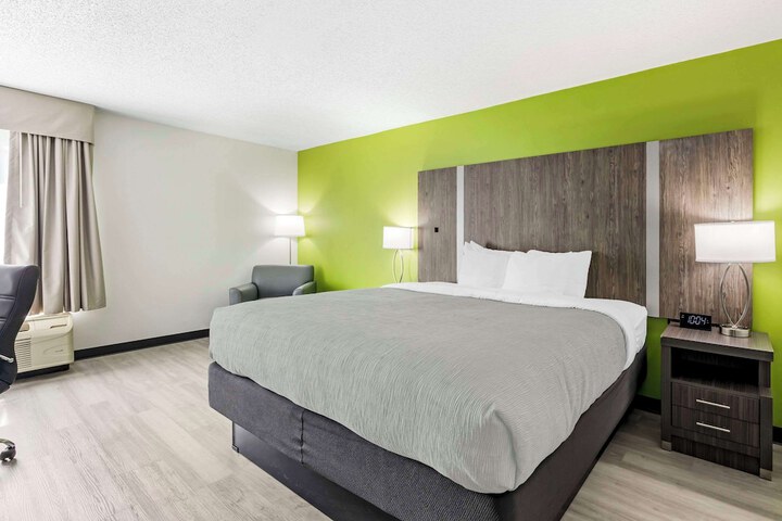 1 King Bed (5 of 11)