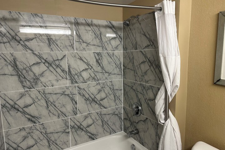1 King Bed Mobility Hearing Accessible Room Roll in Shower Non-Smokinga (16 of 22)