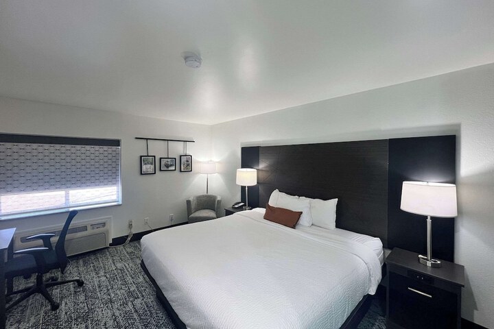 1 King Bed (6 of 10)