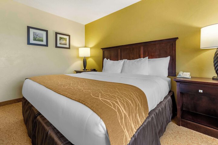 1 King Bed (11 of 19)