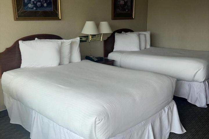 Double Executive King Bed (5 of 6)