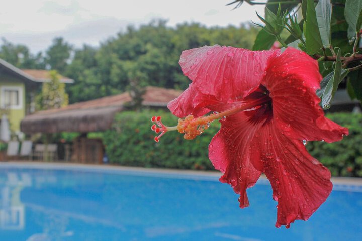 Pool 33 of 55