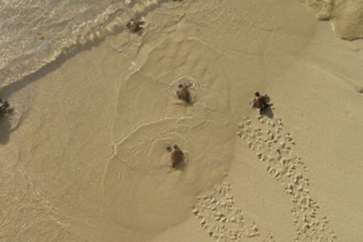 Beach 5 of 20