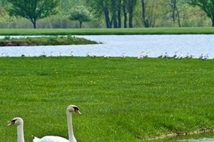 Property Grounds 35 of 45