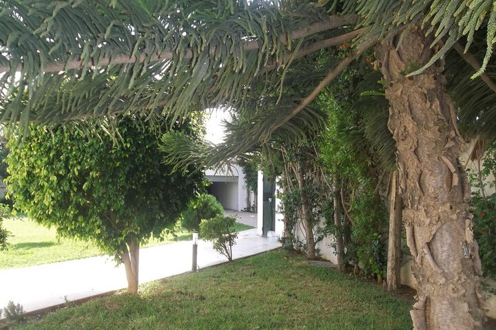 Hotel Exterior 1 of 31