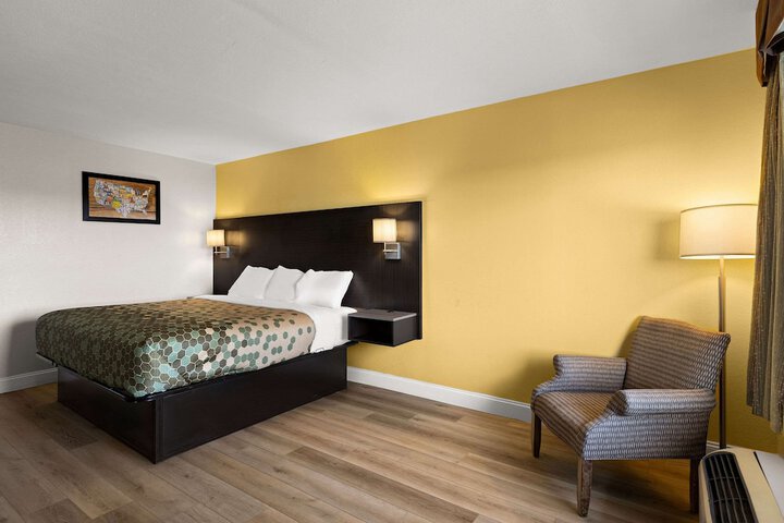1 King Bed (7 of 14)