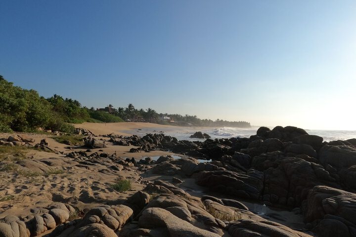 Beach 117 of 229
