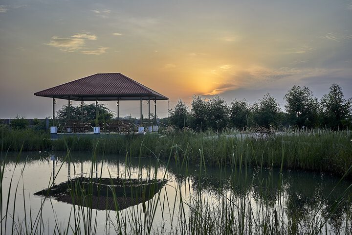 Photo of Blackbuck Safari Lodge Velavadar