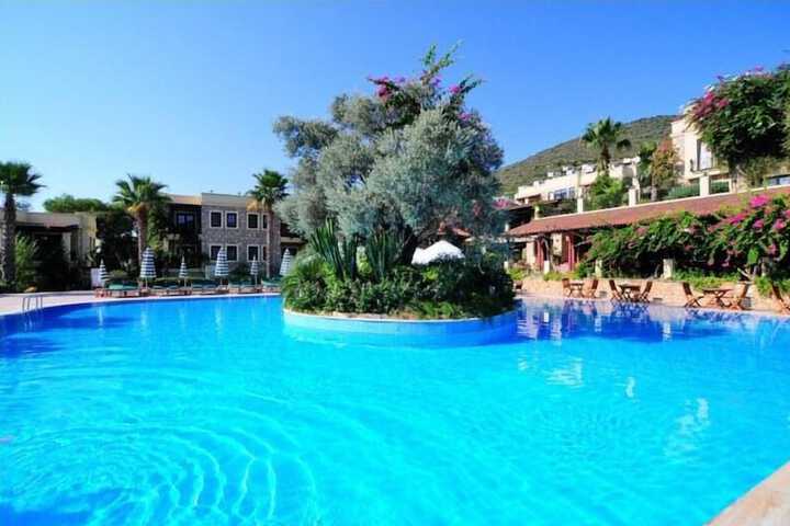 Hotel with Pool