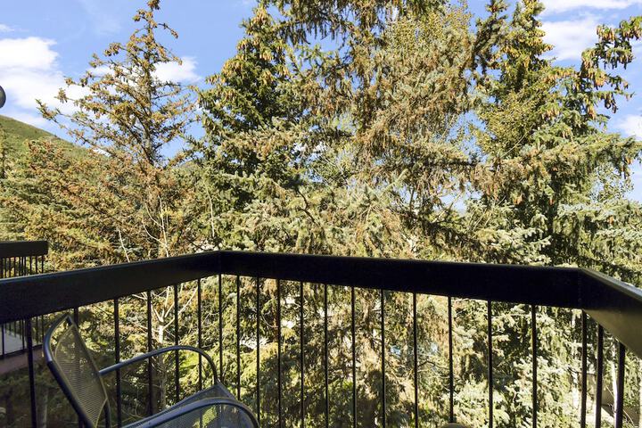 Terrace/Patio 17 of 34