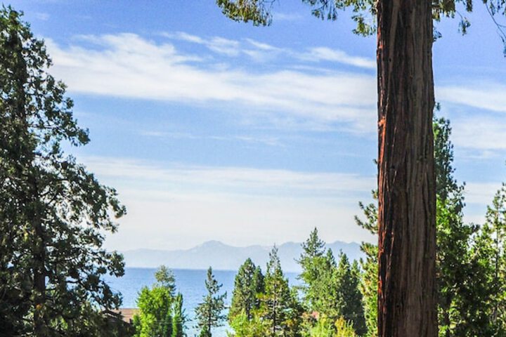 Hotel View 135 of 138