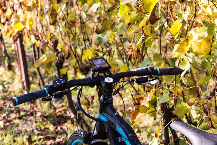 Bicycling