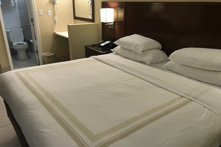 Standard Single Room 1 King Bed (13 of 17)