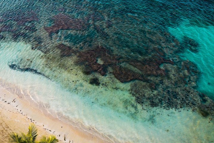 Beach 206 of 213