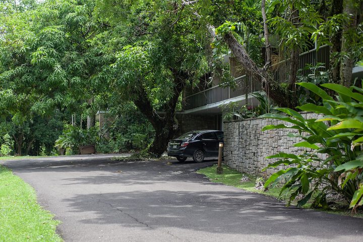 Property Grounds 244 of 264