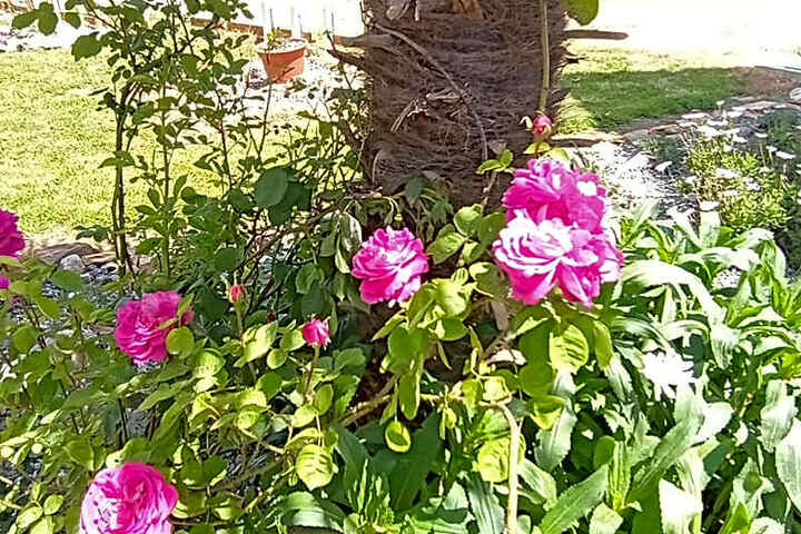 Photo 27