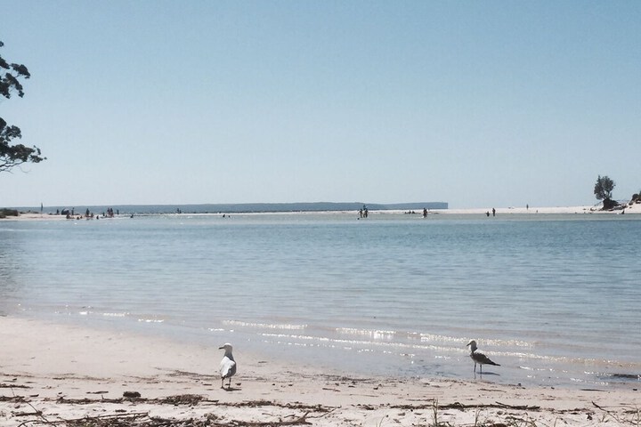 Beach 72 of 79