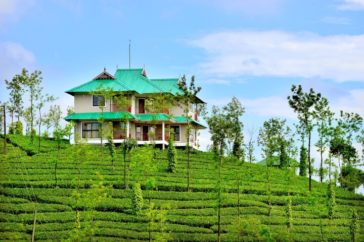 Green Hill Estate in Peermade