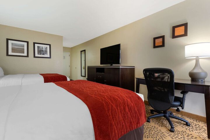 2 Queen Beds (4 of 9)