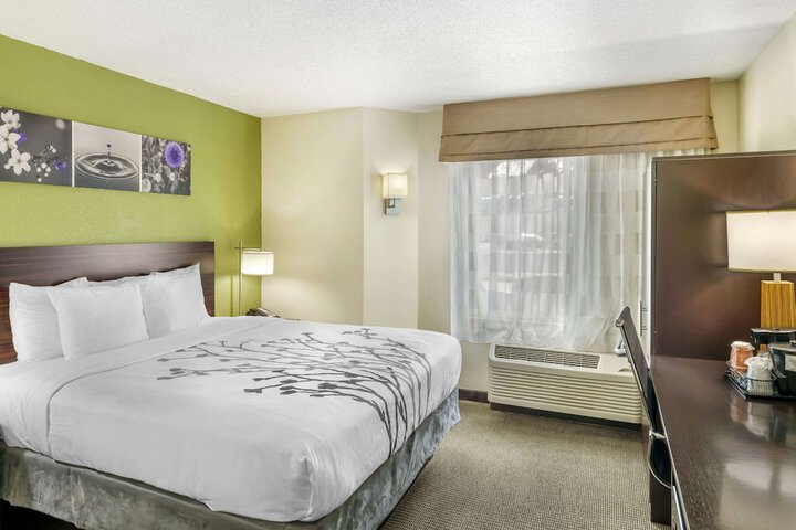 1 King Bed (5 of 7)