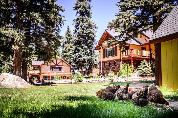 Alpen Way Chalet Mountain Lodge in Evergreen, CO