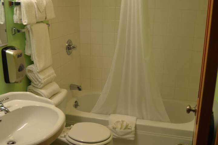 Bathroom shower
