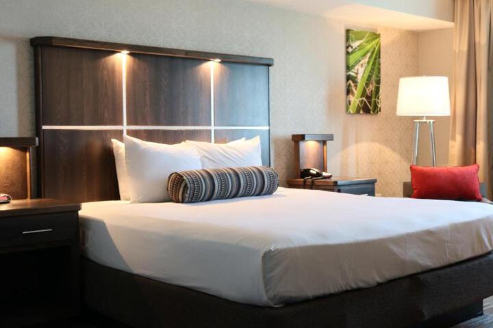 Deluxe King Bed (5 of 7)