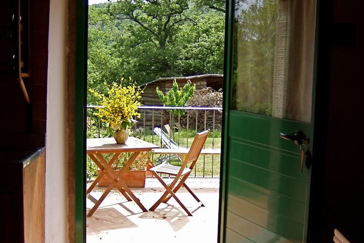 Terrace/Patio 19 of 36
