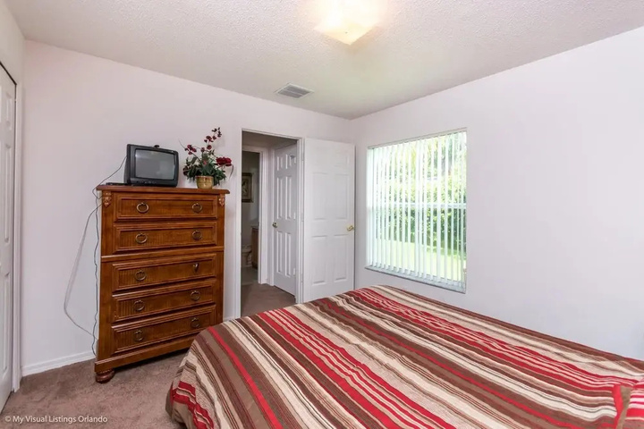 Photo of Orange Tree 3309