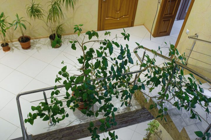 Hotel Interior 37 of 42