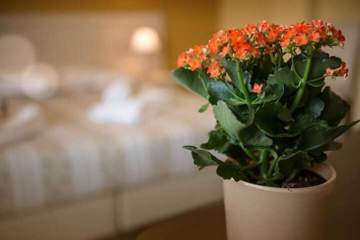 Hotel Interior 33 of 39
