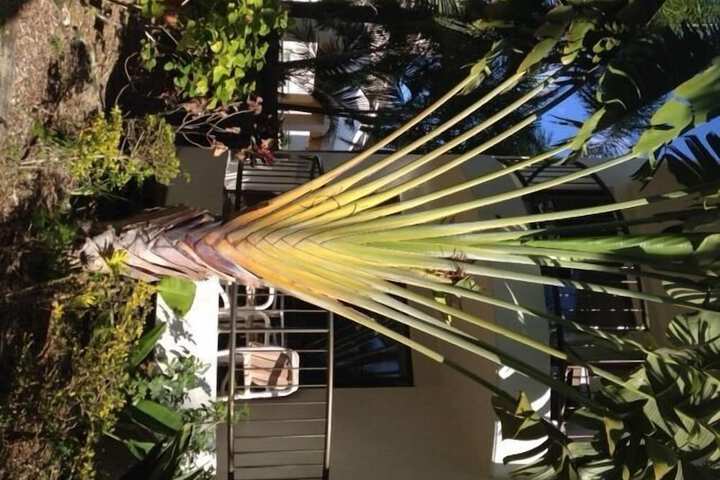 Hotel Exterior 30 of 33