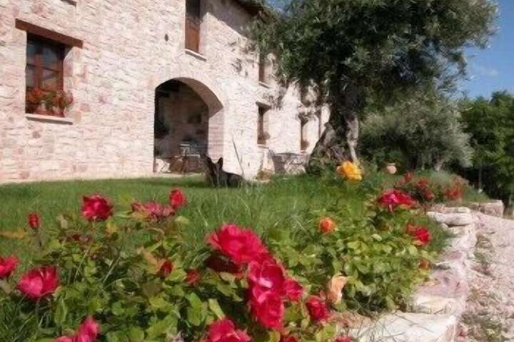 Le Mandrie di San Paolo - Farm Home in Assisi