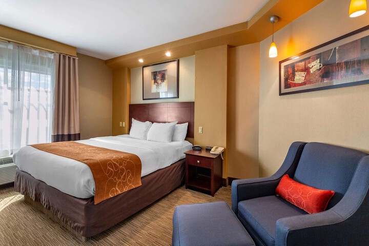 Standard | King Bed (10 of 15)