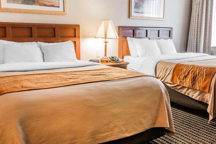 2 Queen Beds (3 of 15)