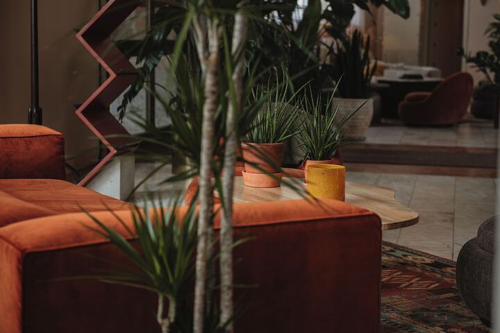 Guest Lobby