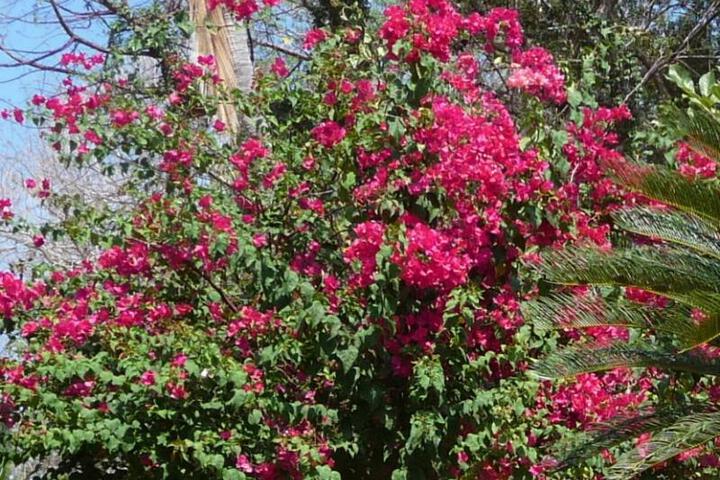 Spa and Wellness Pictures