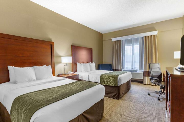 Standard Room, King or Two Doubles (9 of 10)