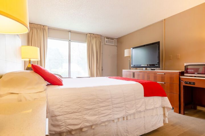 1 King Bed (5 of 8)