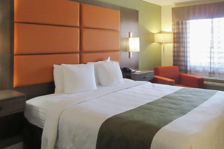 1 King Bed (2 of 16)