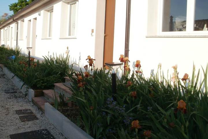 Property Grounds 35 of 39