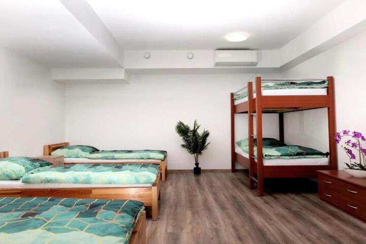 Photo 7