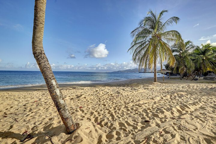 Beach 216 of 255