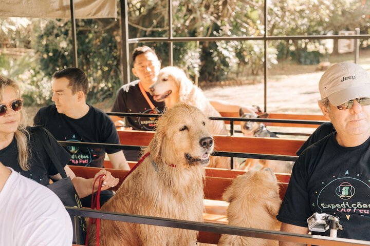 Pet Friendly 60 of 88