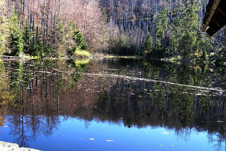 Photo 27